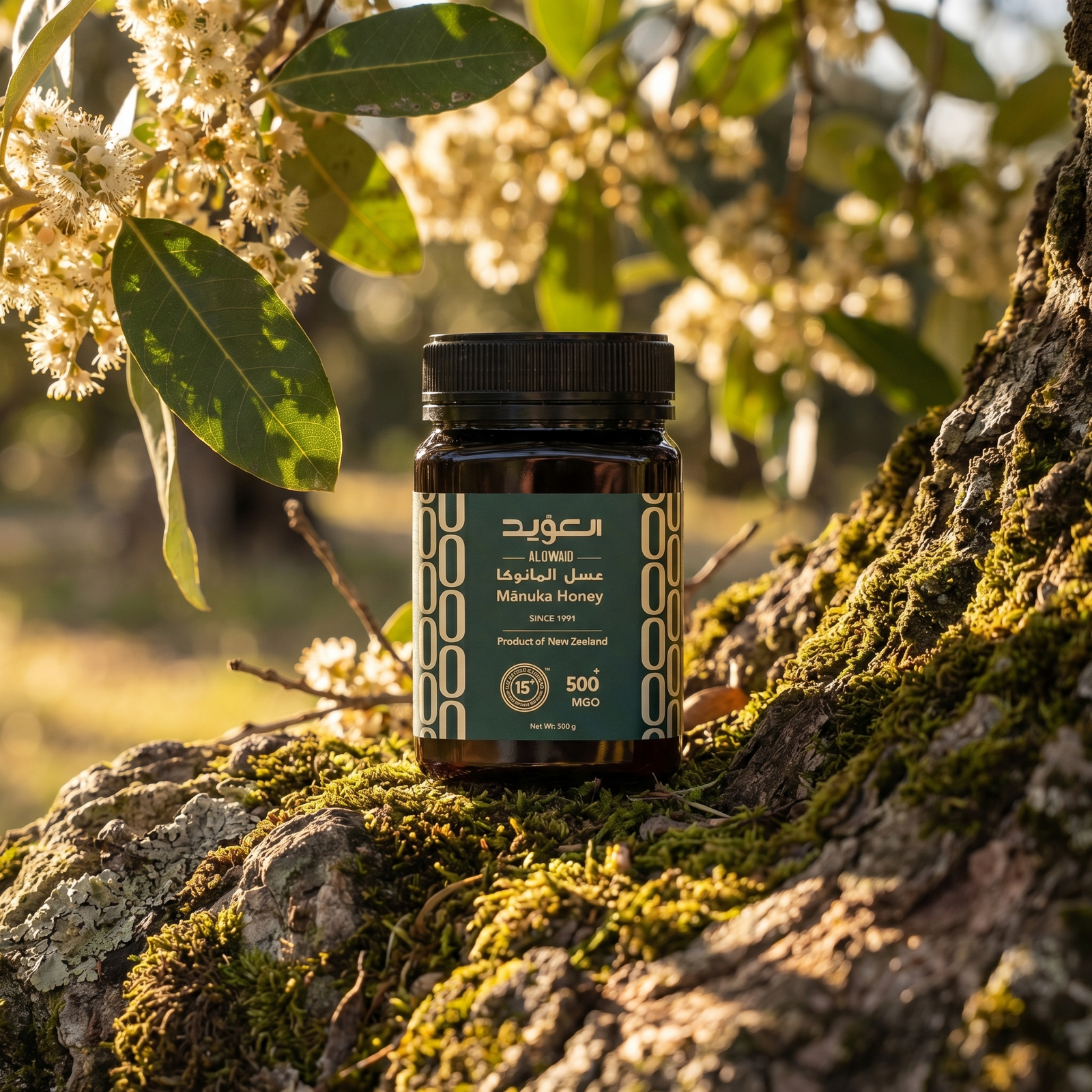 Manuka Honey 15+ (MGO 500) 500 gm