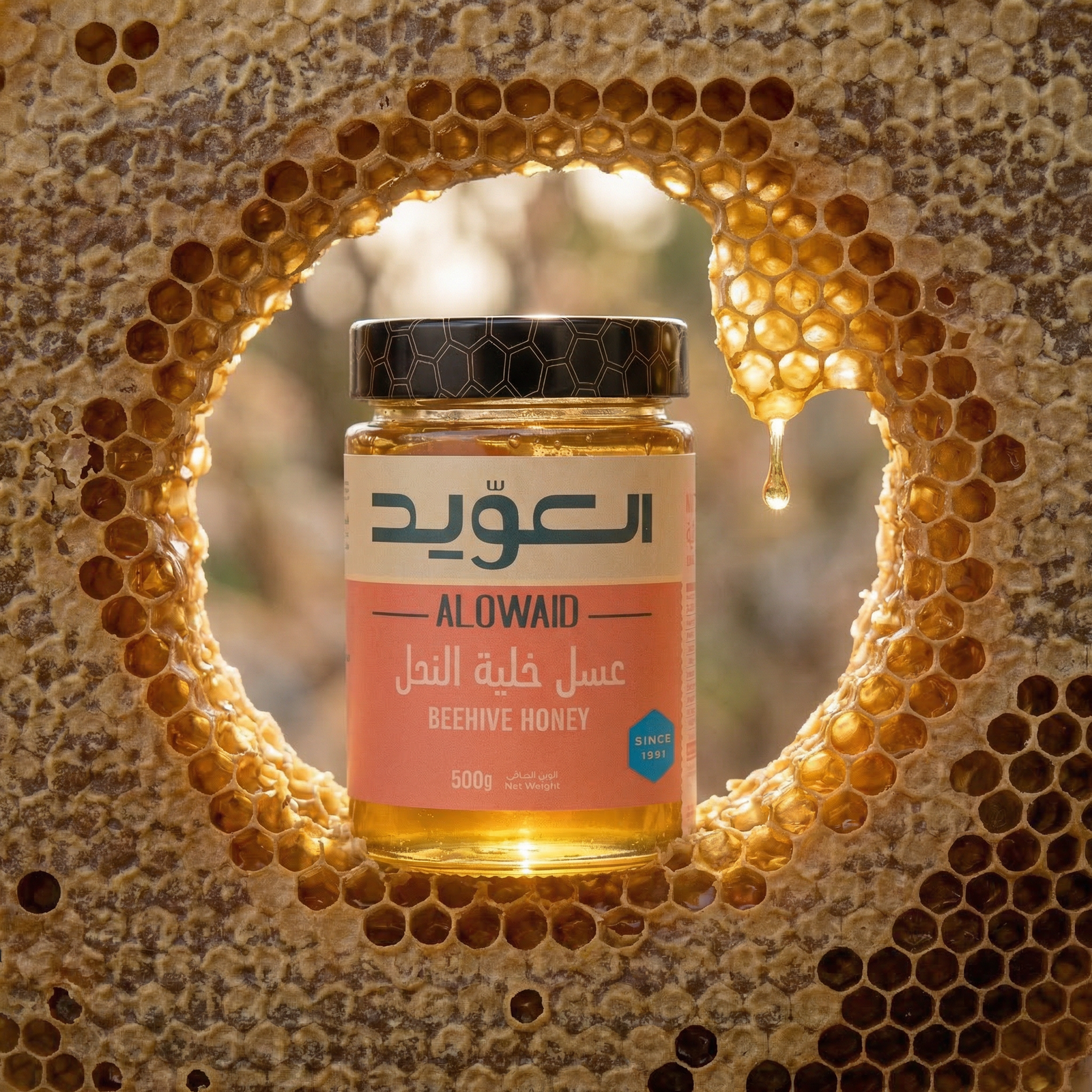 BeeHive Honey 500g