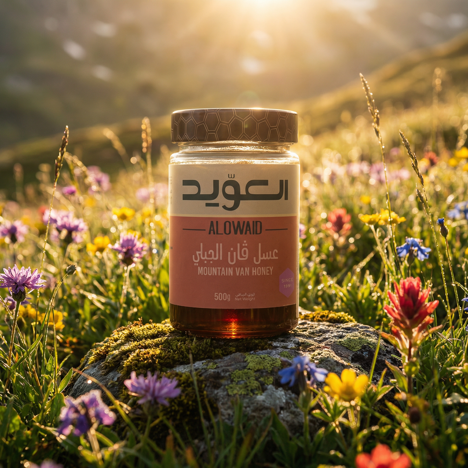 عسل فان Mountain Van Honey 500g