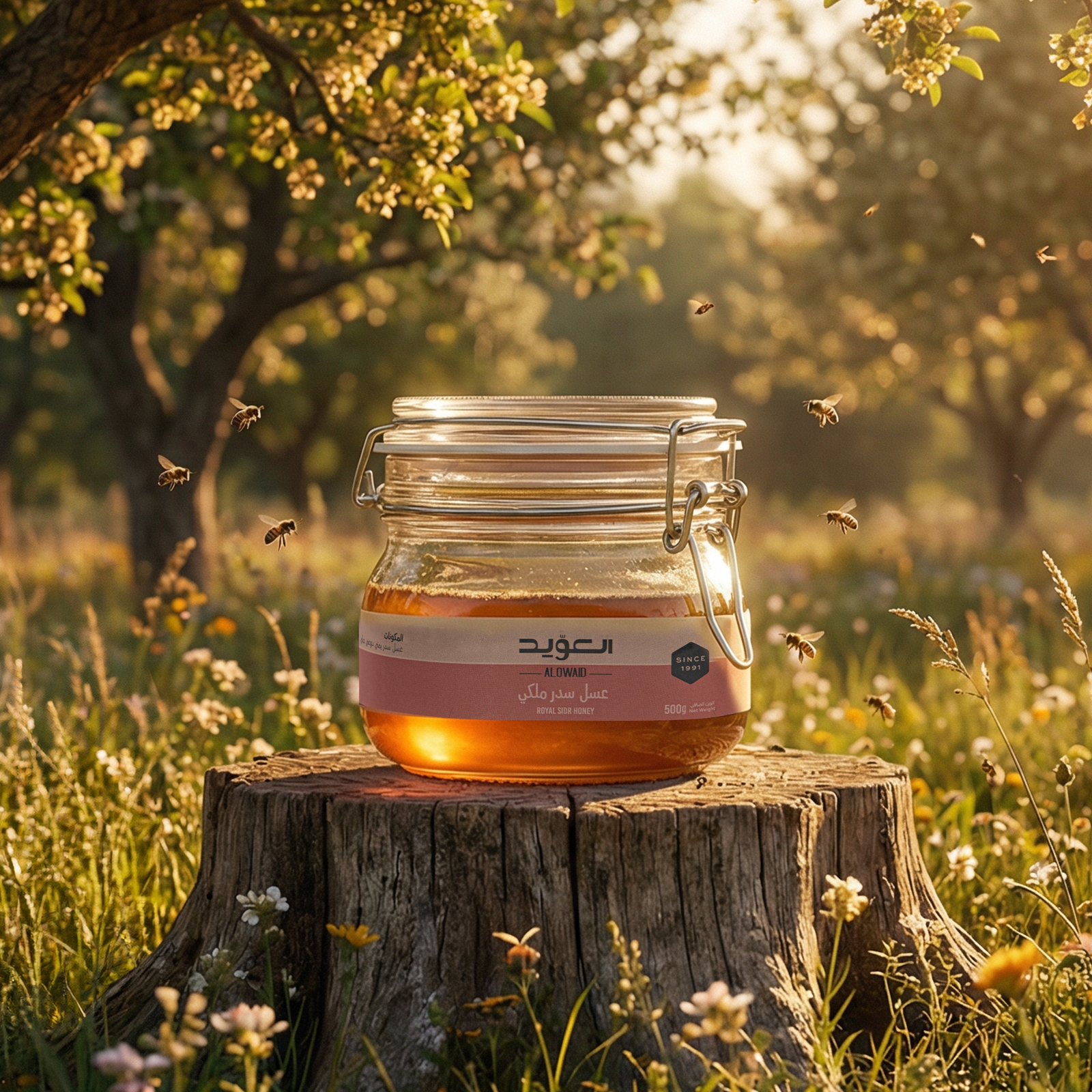 Royal Doani Sidr Honey 500gm