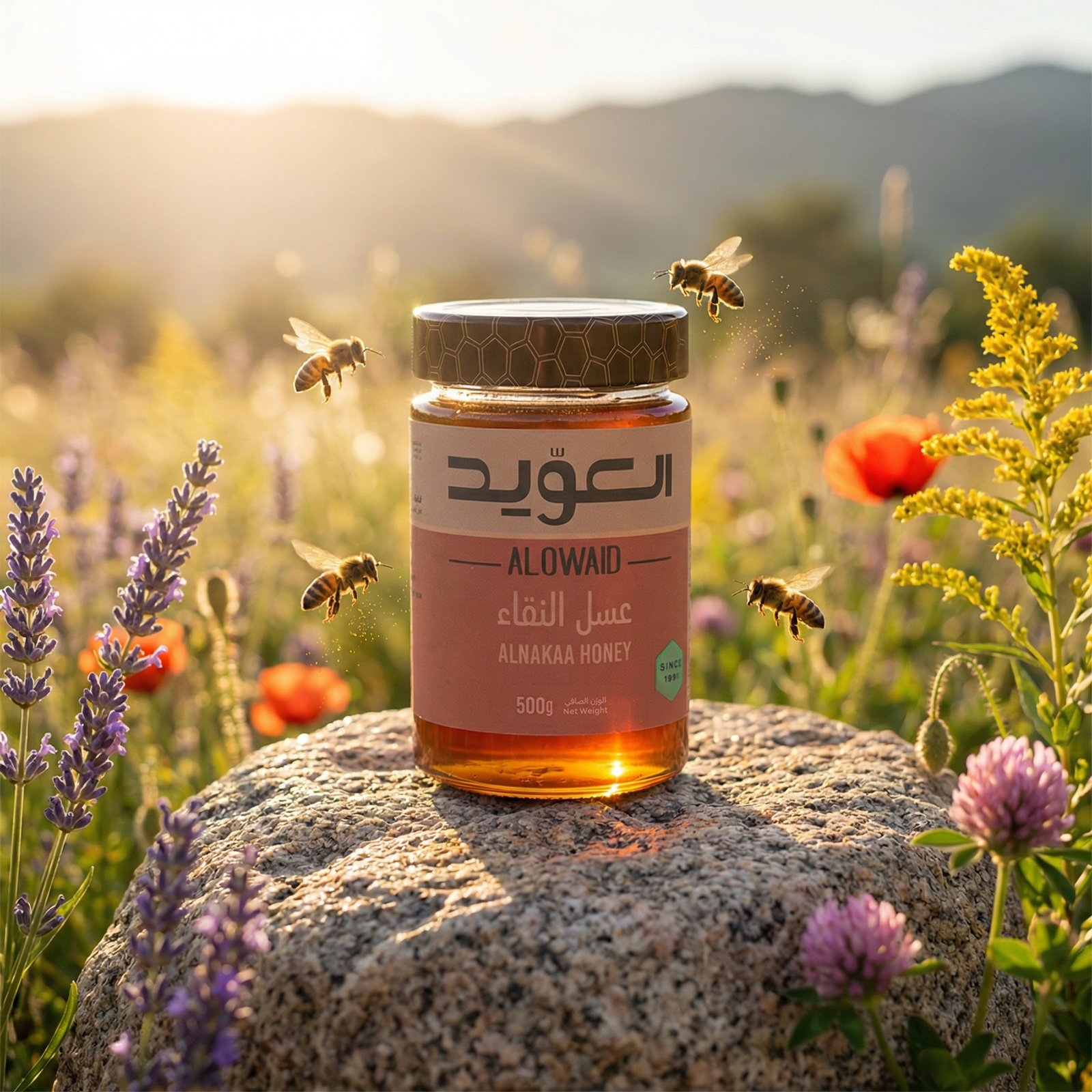 Alnakaa Honey 500 gm